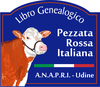 ANAPRI Logo
